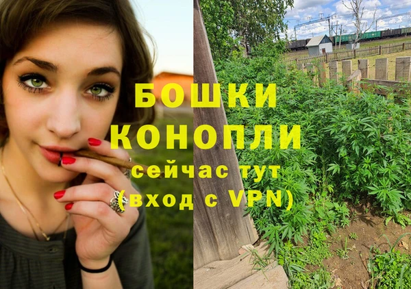 эйфоретик Аркадак
