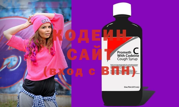 хмурый Арсеньев