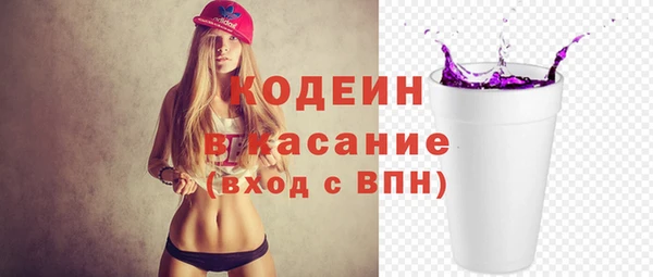 хмурый Арсеньев