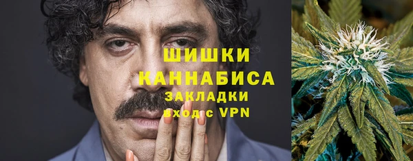 хмурый Арсеньев